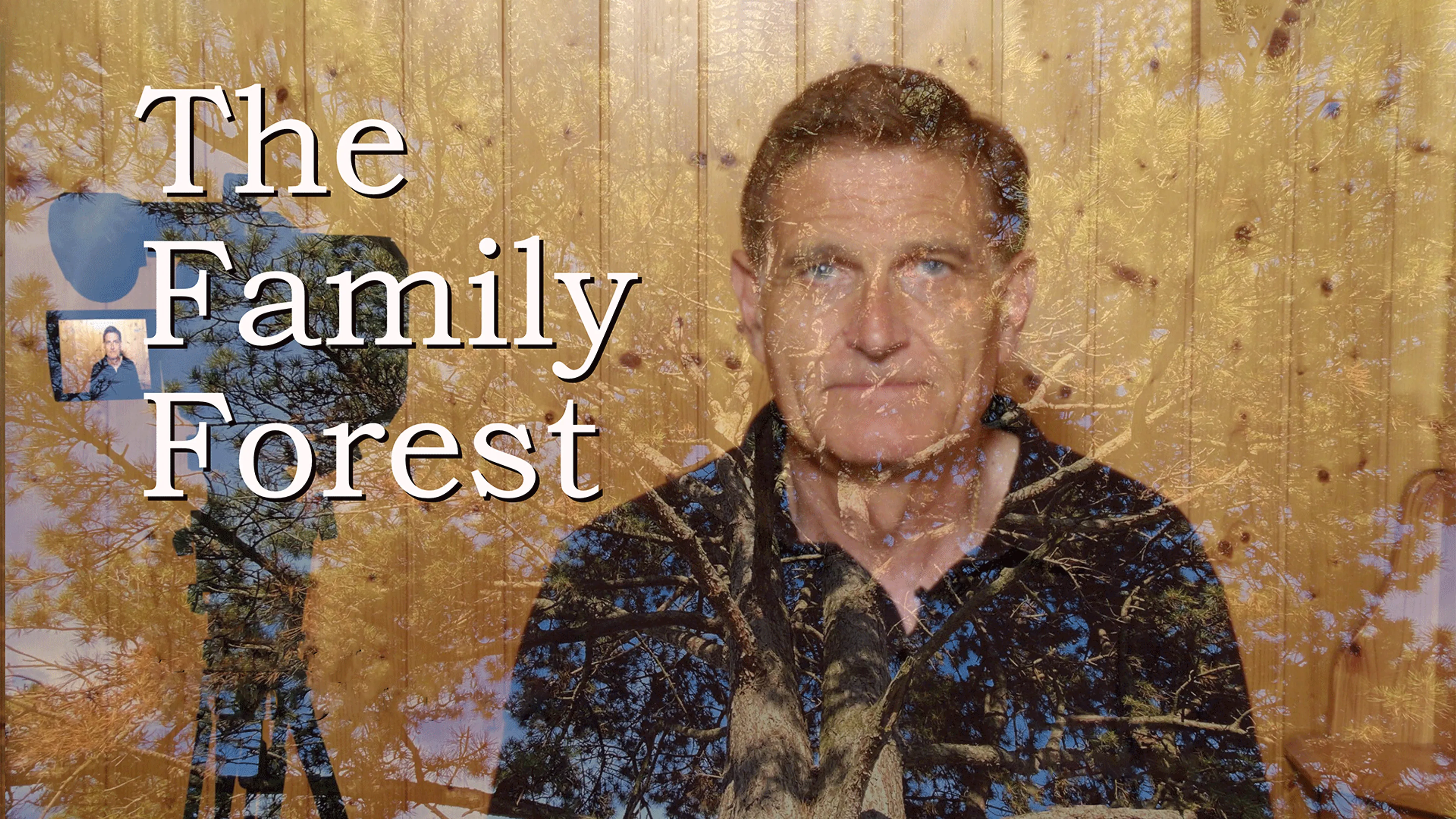 The Family Forest poster